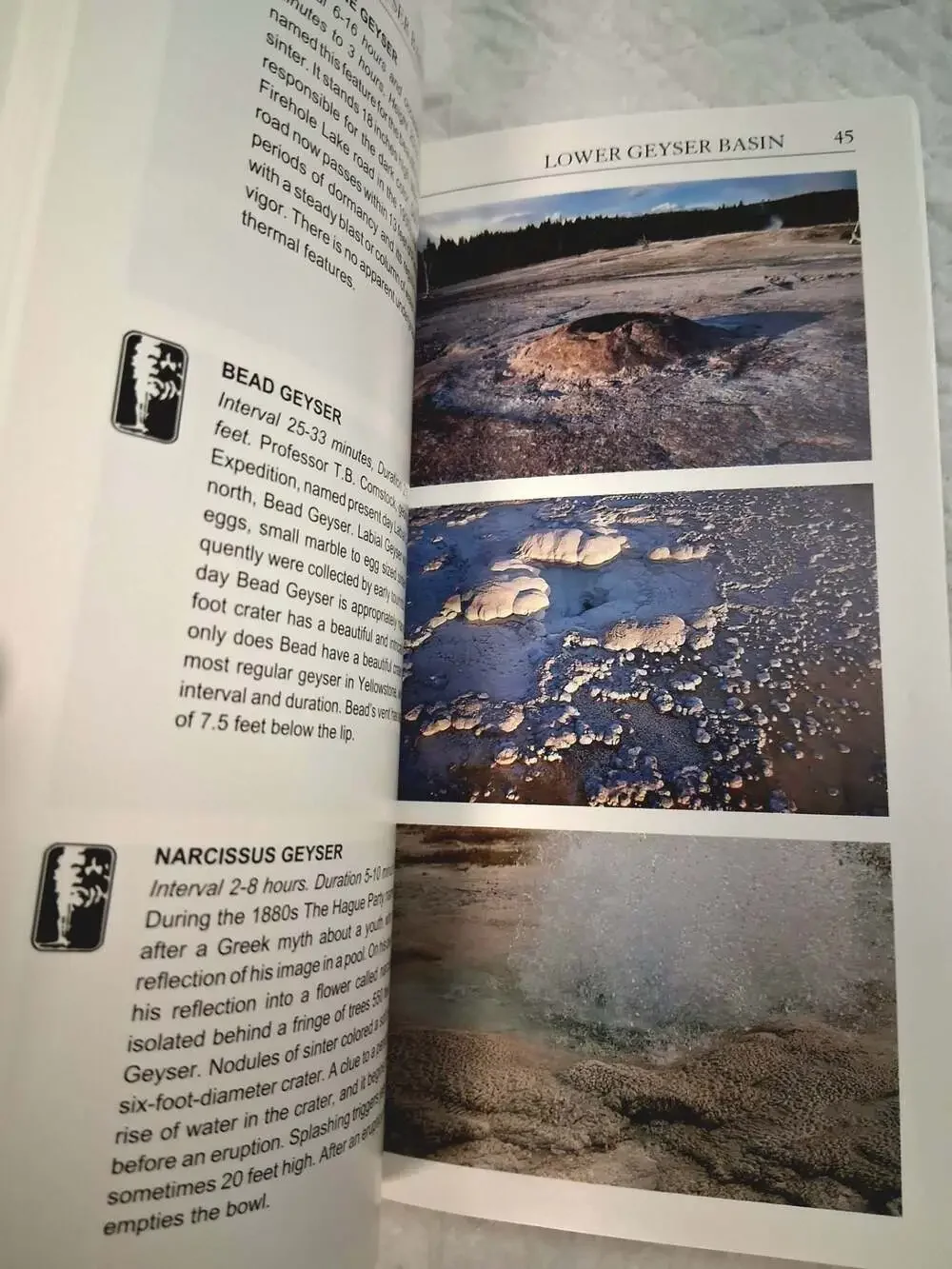 Homestead Publishing field guide